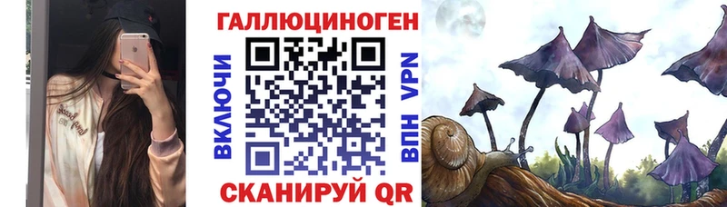 закладки Нижние Серги mega как войти Псилоцибиновые грибы MAGIC MUSHROOMS